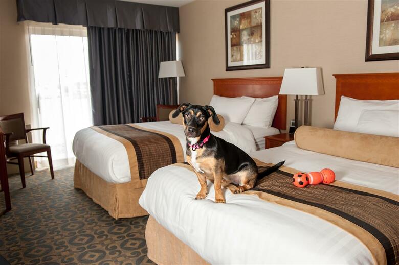 Hotel Best Western Brant Park Inn  Conference Centr