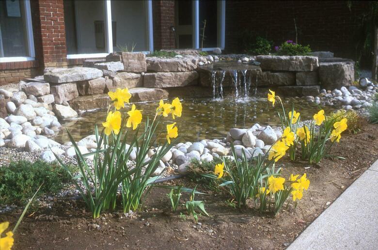 Hotel Best Western Brant Park Inn  Conference Centr
