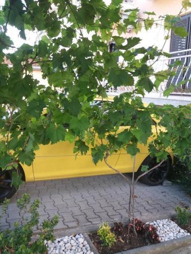 Apartamentos Studio Biograd Na Moru 15651a