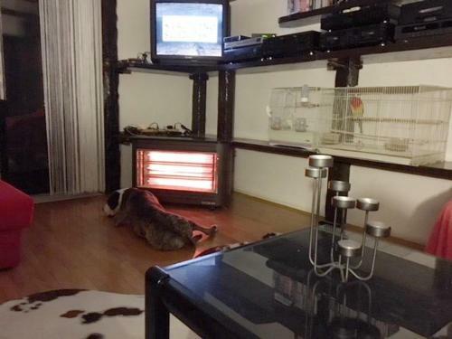 Holiday Home Delnice/gorski Kotar 34470