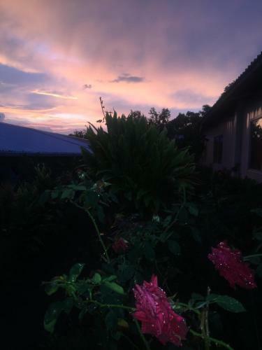 Hostel & Campamento Cafeaventura