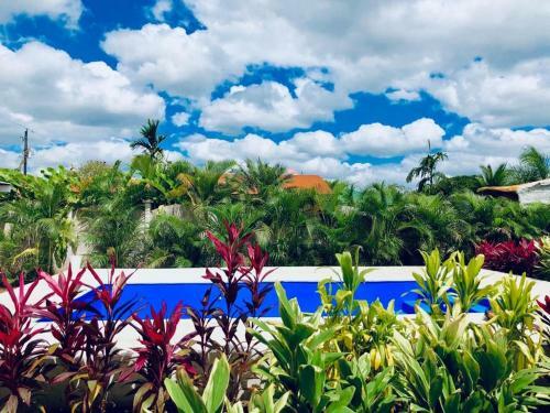 Posada New Coral Bungalow: Arenal View