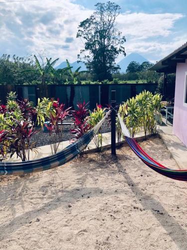 Posada New Coral Bungalow: Arenal View