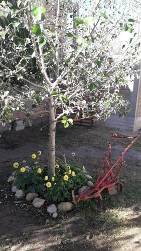 Lodge Caba�as-camping Cerro Gral San Mart�n
