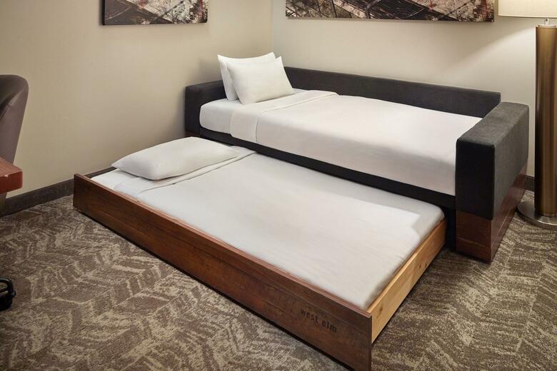 Hotel Springhill Suites Atlanta Airport Gateway