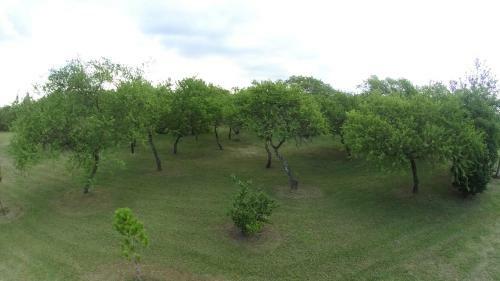 Lodge Carpe Diem Caba�as