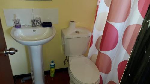 Apartamento Campos Flores