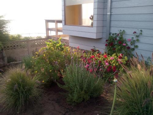Caba�a Vista Bahia Algarrobo
