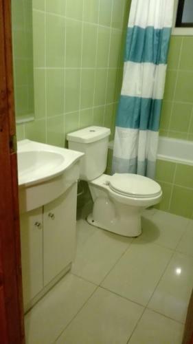 Lodge Caba�aas Y Hostal Conaripe Sur De Chile