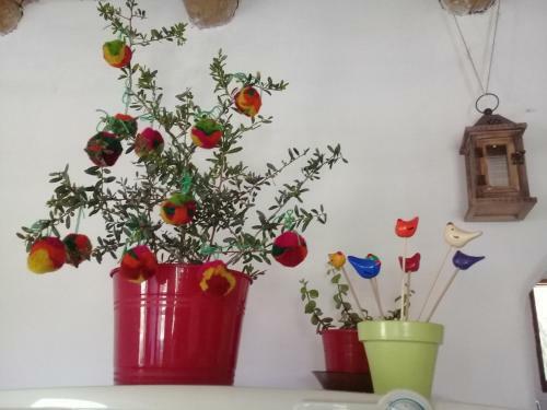 Lodge Caba�a El Card�n (campo Y Monta�as)