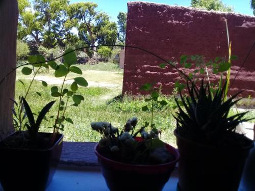 Lodge Caba�a El Card�n (campo Y Monta�as)