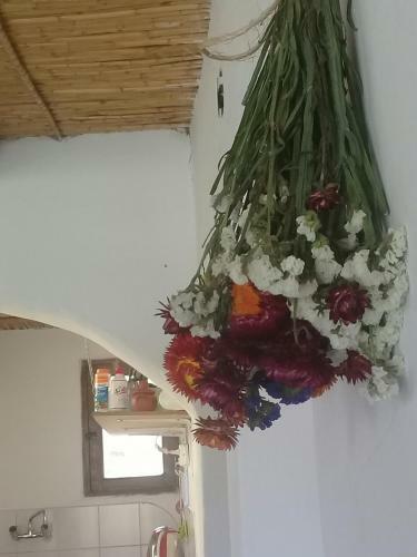 Lodge Caba�a El Card�n (campo Y Monta�as)