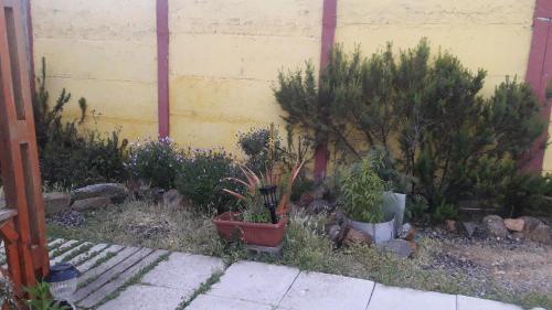 Casa Turistas La Herradura