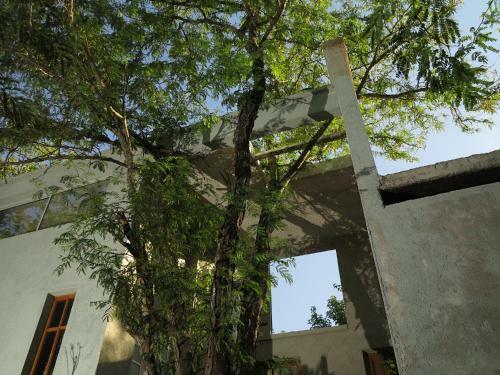 Apartamento Paloma Suite