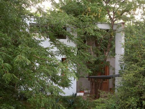 Apartamento Paloma Suite