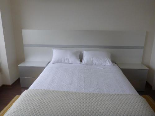 Cavancha Apartment