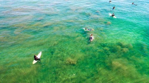 Caba�as Costa Blue