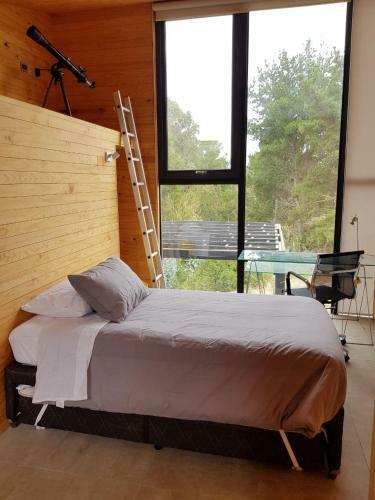 Loftbox Punta De Lobos