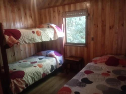 Los Maitenes Puc�n