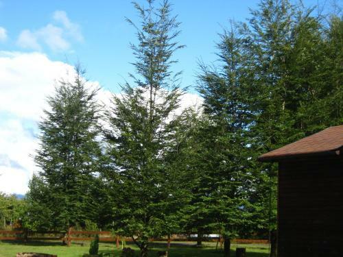 Agroturismo Caba�as Familia Caburgua
