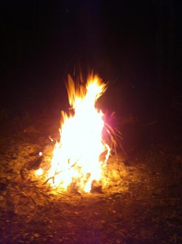 Lodge Caba�as Trancura