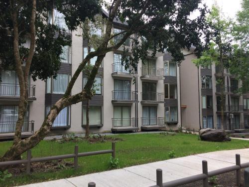 Apartamento Depacontreraspucon