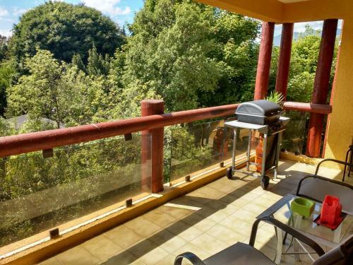 Apartamento Departamento Ideal En Centro De Pucon