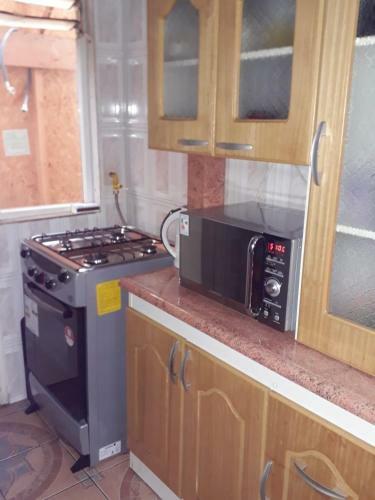 Arriendo Por D�a Puerto Varas