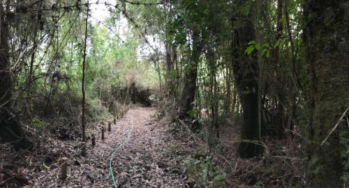Agroturismo Bosque Nativo Lodge