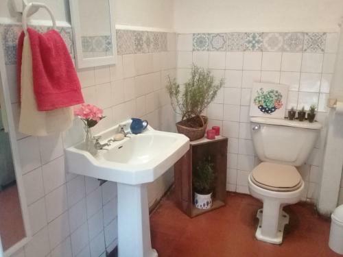 Hostal Do�a Irene