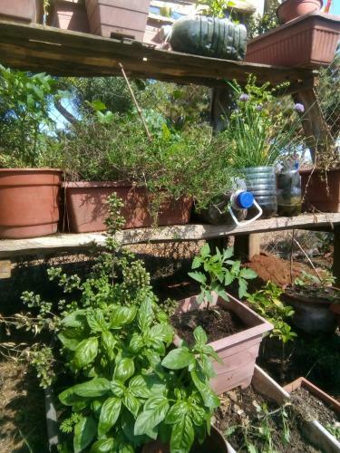 Apartamento I.m.c (intima & M�nima Caba�a)
