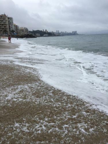 Apartamento Departamento 2 Norte Vi�a