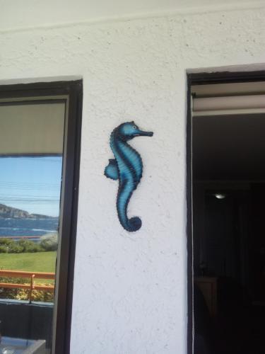 Apartamento Departamento En Eurocochoa