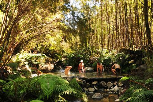 Lodge Caba�as Y Turismo Lahuan