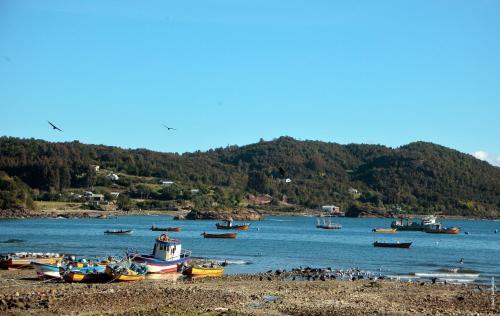 Lodge Caba�as Y Turismo Lahuan