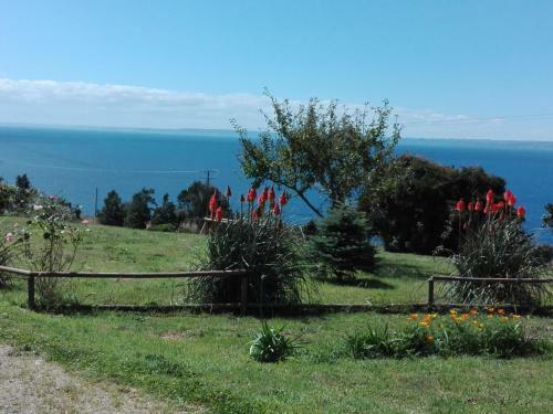Lodge Caba�as Vientos Del Lago