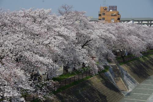 Aparthotel Apartment Hotel Kamo Riverside Kyonoya