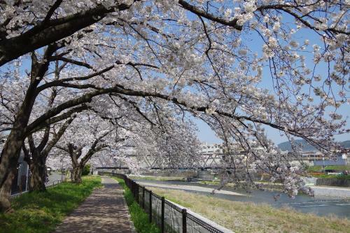 Aparthotel Apartment Hotel Kamo Riverside Kyonoya