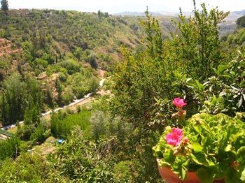 Agroturismo Alojamiento Rural El Valle