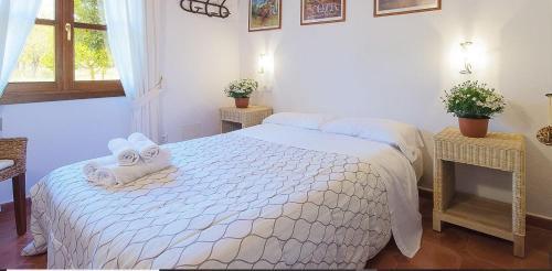 Agroturismo Ses Pereres In Biniali