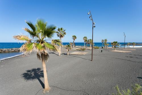 Apartamento Live Candelaria Alsaca
