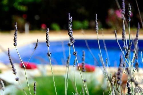 Cas Concos Villa Sleeps 11 Pool Air Con