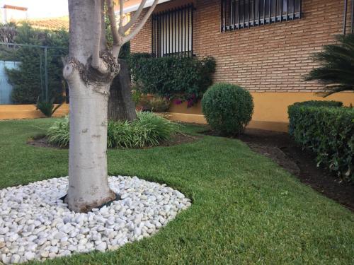 La Casita De Monchi