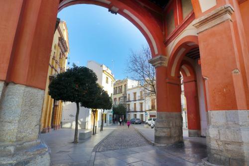Apartamento Asvacor Sue�os De La Corredera Bajo