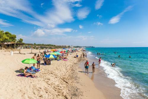 Pino Alto Holiday Homes Martin29