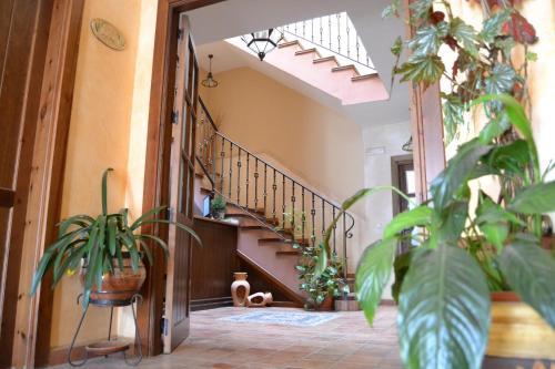 Toribio** Hostal & Restaurante