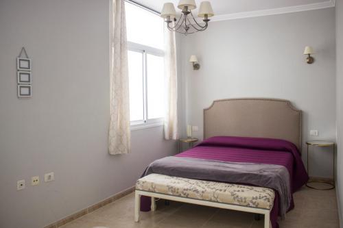 French Apartments