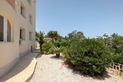 Casa Ost