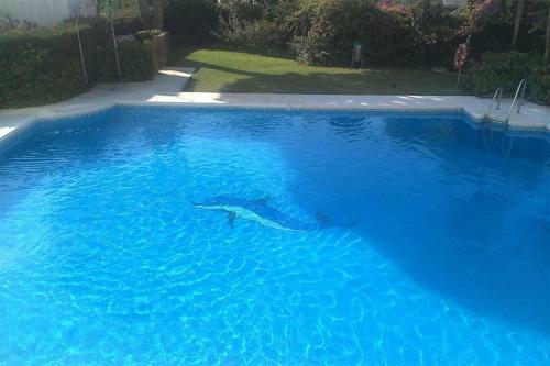 Apartamento Las Acacias La Cala De Mijas