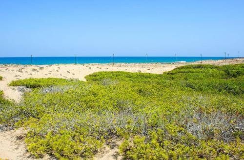 Torrelamata Apartment Sleeps 4 Pool Air Con Wifi